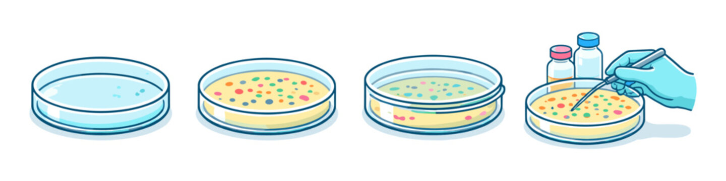 Microbiology experiment showing petri dish culture growth and inoculation process