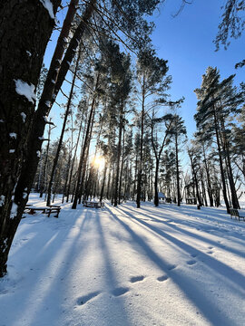 Panorama of beautiful winter park