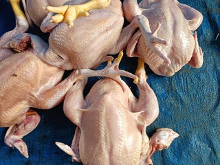Fresh Raw Whole Chickens at Traditional Market