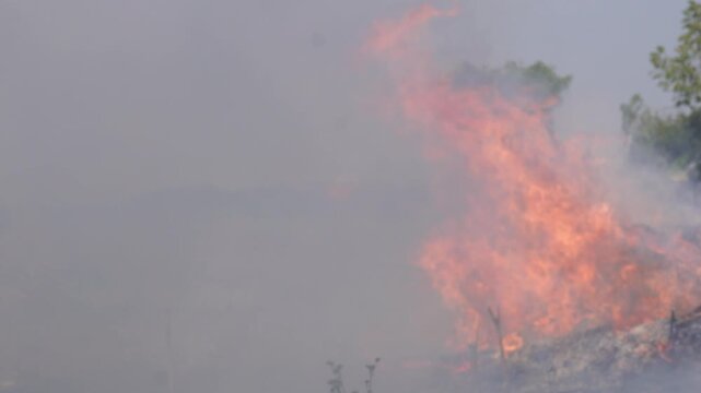 Wildfire flames and smoke in grassy area
