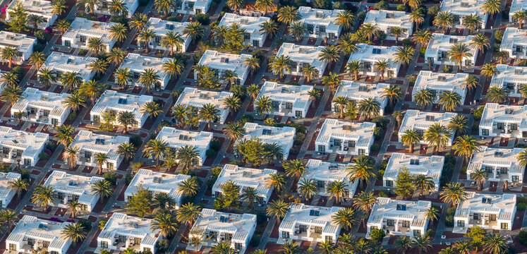 Aerial view of rows of white cubed buildings interspersed with green palm trees under the warm sunlight, Playa Blanca, Lanzarote, Canary Islands.