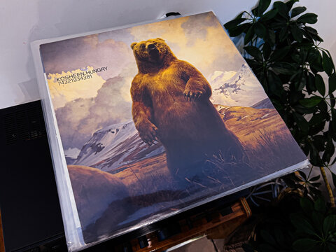 Kosheen &ndash; Hungry vinyl 2002. Bear standing in a snowy mountain landscape on a vintage poster cover with dramatic skies