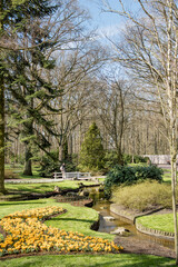 Obraz premium Keukenhof, Netherlands, April 04 2018: A picturesque setting of ornamental trees and a gentle stream, reflecting the peace and charm of the garden