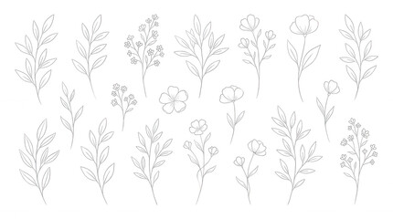 Obraz premium Collection of white line floral and branches on black background botanical leaf flower