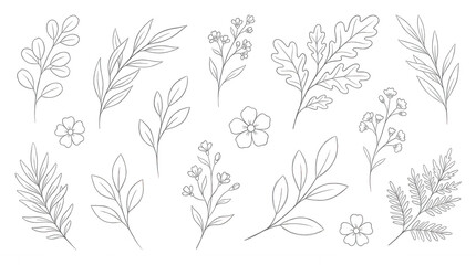 Fototapeta premium White line floral branches and flowers on black background botanical nature plant leaf