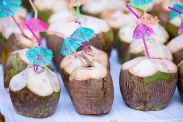 Coconut palm tree seed fruit drink beverages delicious yummy kenya coast