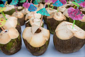 Coconut palm tree seed fruit drink beverages delicious yummy kenya coast