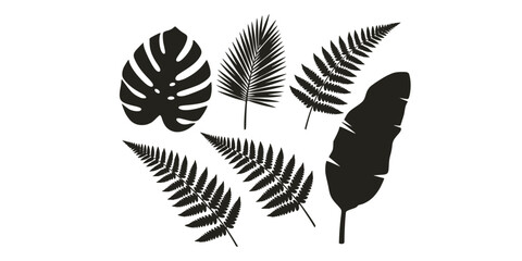 Tropical leaves vector. Set of palm leaves silhouettes isolated on white background. Vector EPS10
