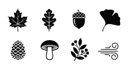 Black silhouettes of various autumn leaves nuts and fungi © MdNirob