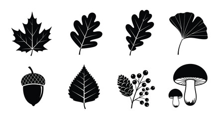 Black silhouettes of various autumn leaves nuts and fungi © MdNirob