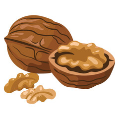 Whole walnut half a walnut and a walnut kernel vector illustration walnut icon isolated on white background ideal for food nutrition organic ingredient and healthy eating designs