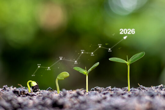 Sustainable business growth and long-term investment concept for 2026, featuring seedling stages of development with rising financial graph over natural green background.