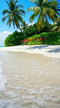 Beautiful tropical beach with white sand, palm trees, and clear blue ocean water