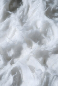 White feathers soft texture abstract minimal background closeup