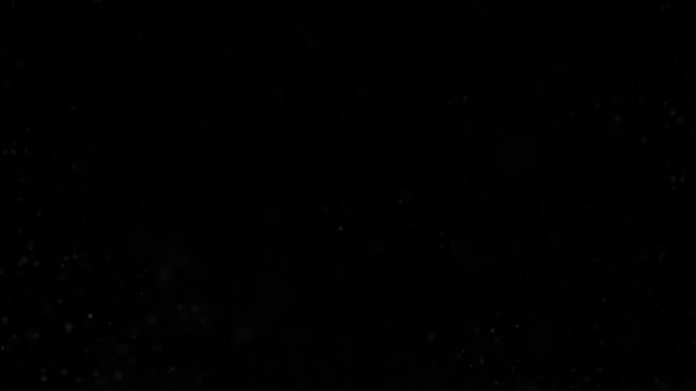  Snow Logo Reveal Background.