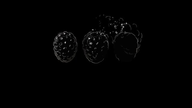 Three abstract blackberry shapes on black background Keywords: abstract, art, background, black