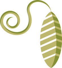 vector illustration of a green leaf