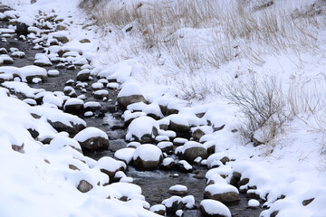 冬の渓流