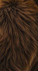 Fototapeta premium Close up texture of incredibly thick brown winter fur on an animal preparing for the cold weather and snow, emphasizing warmth ,protective layer ,wildlife adaptation ,outdoors