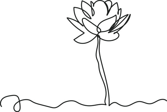  Hand drwing Elegant single line drawing of a lotus flower emerging from water