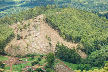 Aerial view of legal deforestation of eucalyptus forest in mountains of Minas Gerais, Brazil