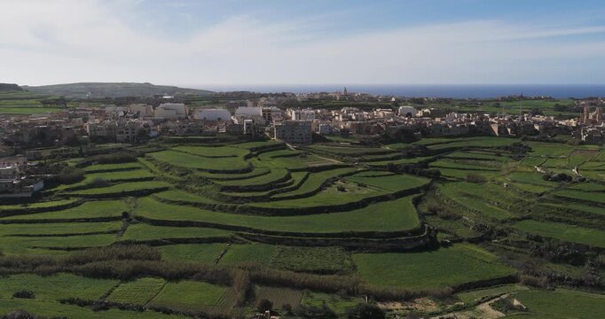 Aerial view of the terraced fields leading up to the Ta' Pinu Cathedral, creating a vibrant contrast with the buildings, Gharb, Ta' Pinu Cathedral, Malta.