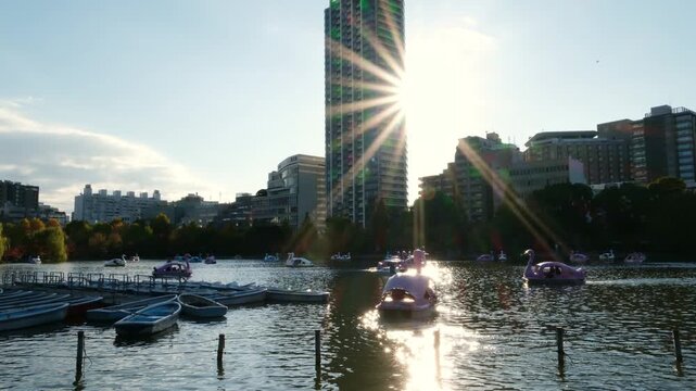 Swan boats floating on Shinobazu Pond in Ueno Park, Tokyo with a bright sunstar