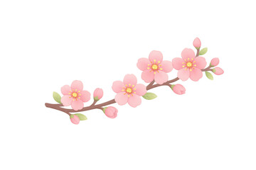 Pink Sakura Cherry Blossom Branch with Flowers and Buds, Spring Floral Illustration Isolated