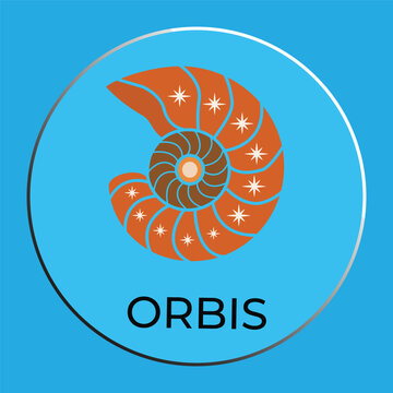 Modern nautilus shell logo with stars on blue background, "Orbis" brand identity vector illustration.