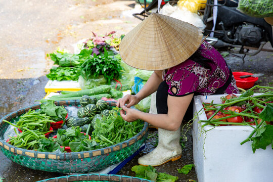 Hanoi, Vietnam - Vietnamese woman wearing conical hat sorts fresh vegetables at Asian street market, surrounded by colorful produce and baskets on the ground