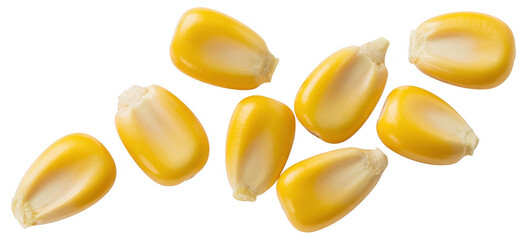 Fototapeta premium Corn kernels food grain isolated on a transparent background