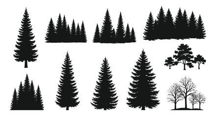 Obraz premium Collection of Pine and Evergreen Tree Silhouettes.