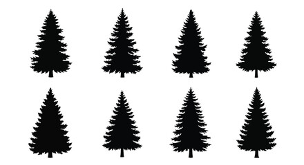 Fototapeta premium Set of Black Silhouette Evergreen Pine Trees.