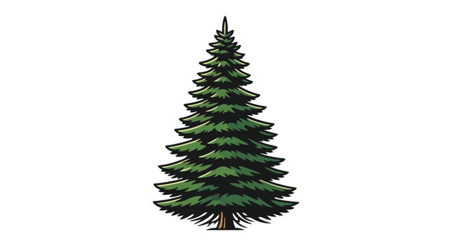 A Tall Evergreen Pine Tree Illustration.