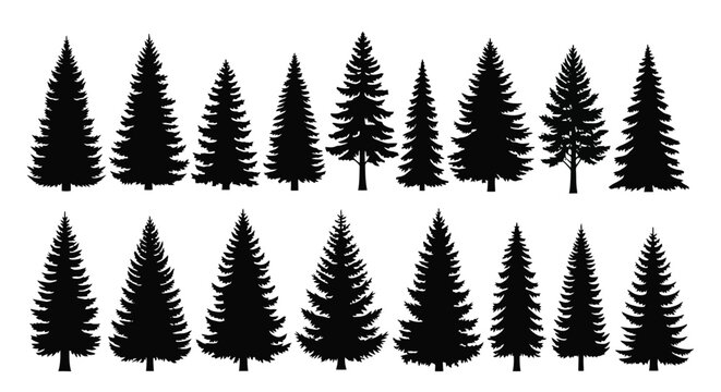 Collection of Diverse Pine Tree Silhouettes for Design.