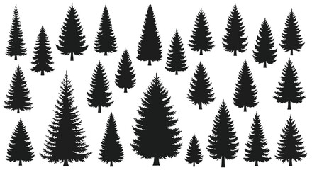 Fototapeta premium Collection of Diverse Evergreen Pine Tree Silhouettes.