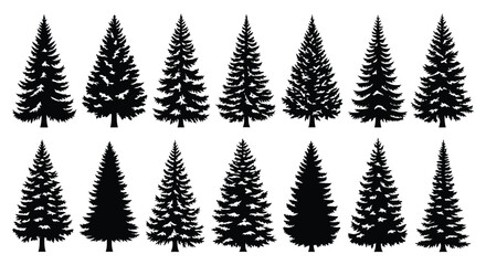 Obraz premium Collection of Diverse Evergreen Pine Tree Silhouettes.
