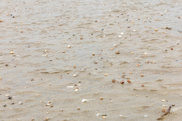 Eisregen am Strand an der Nordsee, Borkum © Dominik Rueß