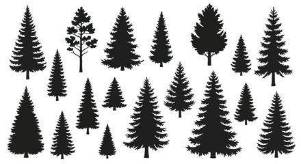 Fototapeta premium Collection of Diverse Evergreen Tree Silhouettes.