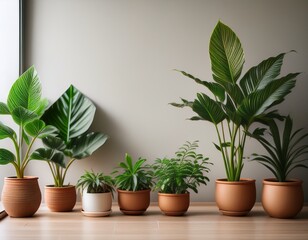 indoor houseplants in ceramic pots on the floor minimalist home decor concept