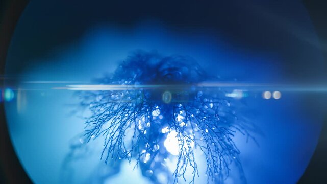 Blue glowing plant root structure