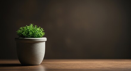 A focused ceramic pot with a small green plant against a dramatically soft, out-of-focus background creating an artistic bokeh ,artistic ,focus ,composition