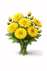 Obraz premium A bouquet of bright yellow flowers in a vase on a white background