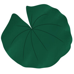 Lily pad icon Lily cartoon vector on white background	