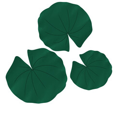 Lily pad icon Lily cartoon vector on white background	