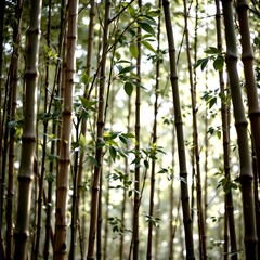 Serene Bamboo Forest with Soft Light Aura
