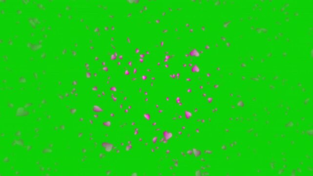 Pink heart shapes being lit up and falling down on green background. Abstract background for Happy Valentine's day and wedding ceremony. For chroma key.
