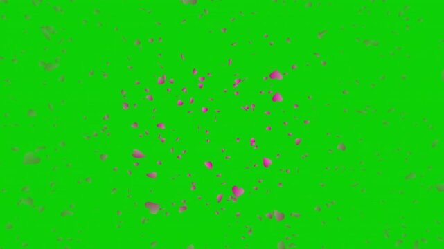 Pink heart shapes being lit up and falling down on green background. Abstract background for Happy Valentine's day and wedding ceremony. For chroma key.