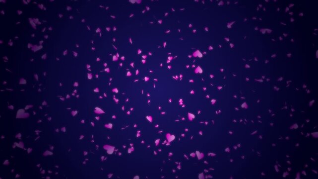 Pink heart shapes being lit up and falling down on dark blue gradient background. Abstract background for Happy Valentine's day and wedding ceremony.