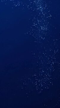 Tranquil Colorfield Animation Visually calming and seamless animation suggesting microscopic life or atmospheric phenomena without explicit representation.